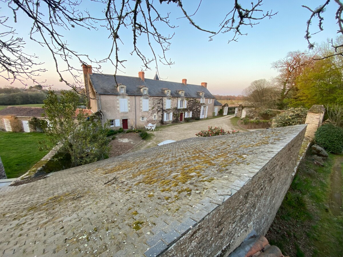 Château Le Fief au Duc 2