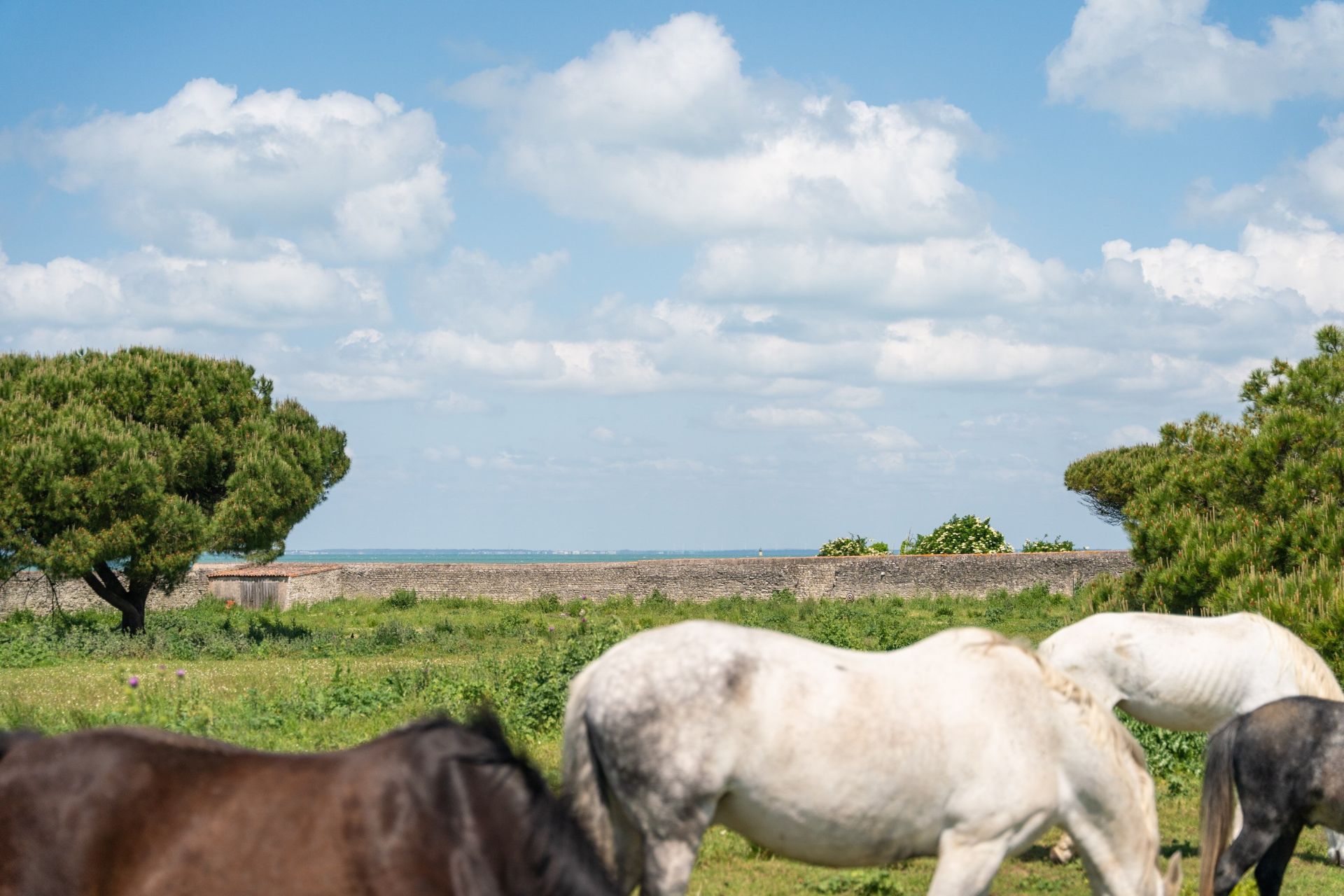 Villa Saint-Martin-de-Ré 18