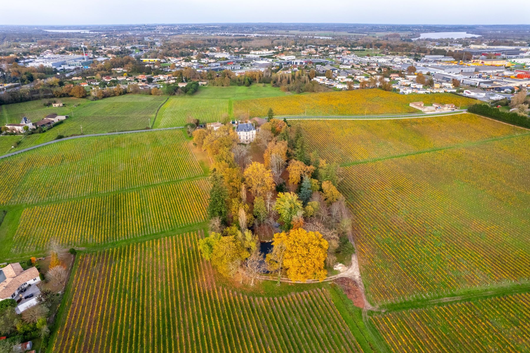 Château de Lussac 2