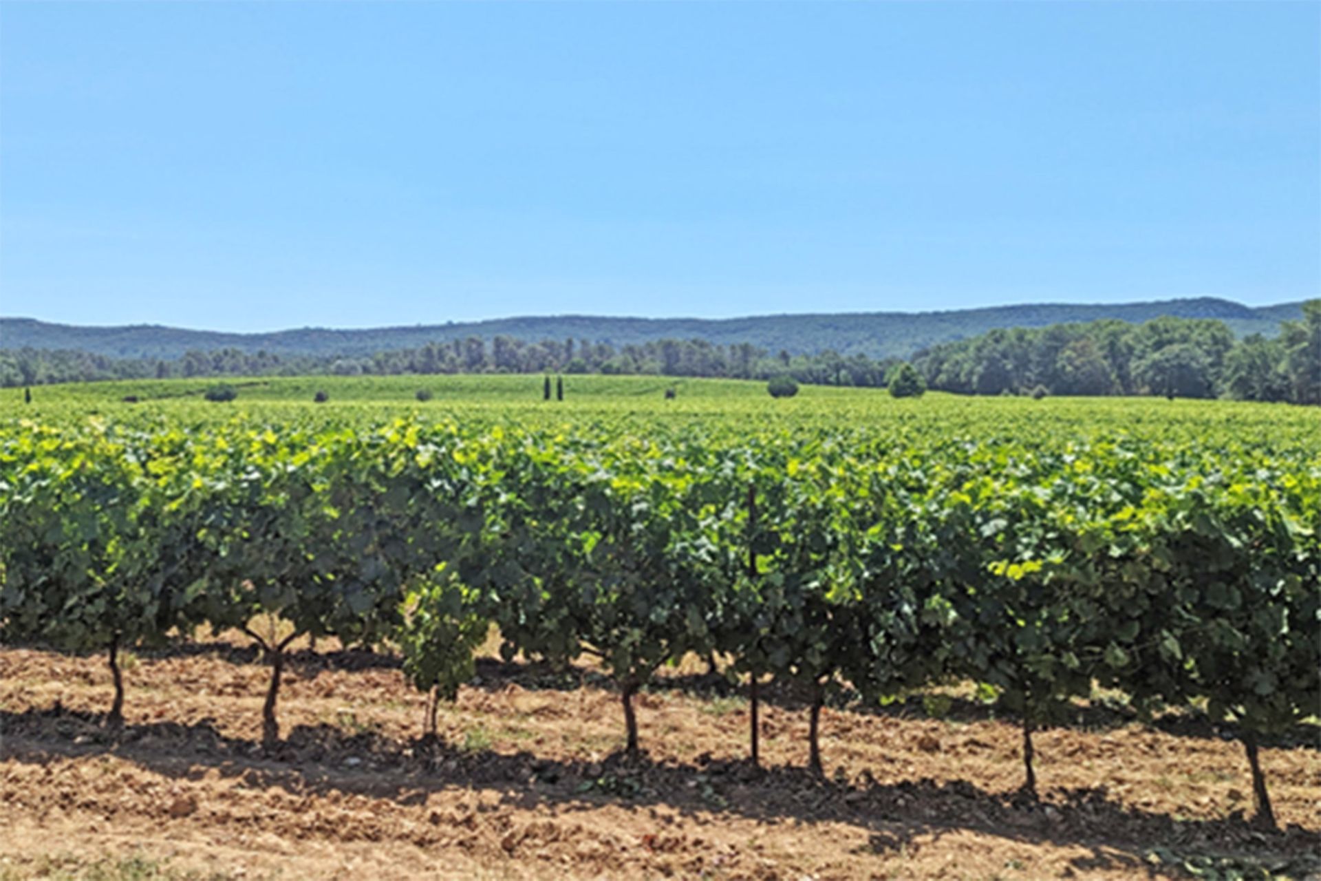 Domaine du Tholonet 14