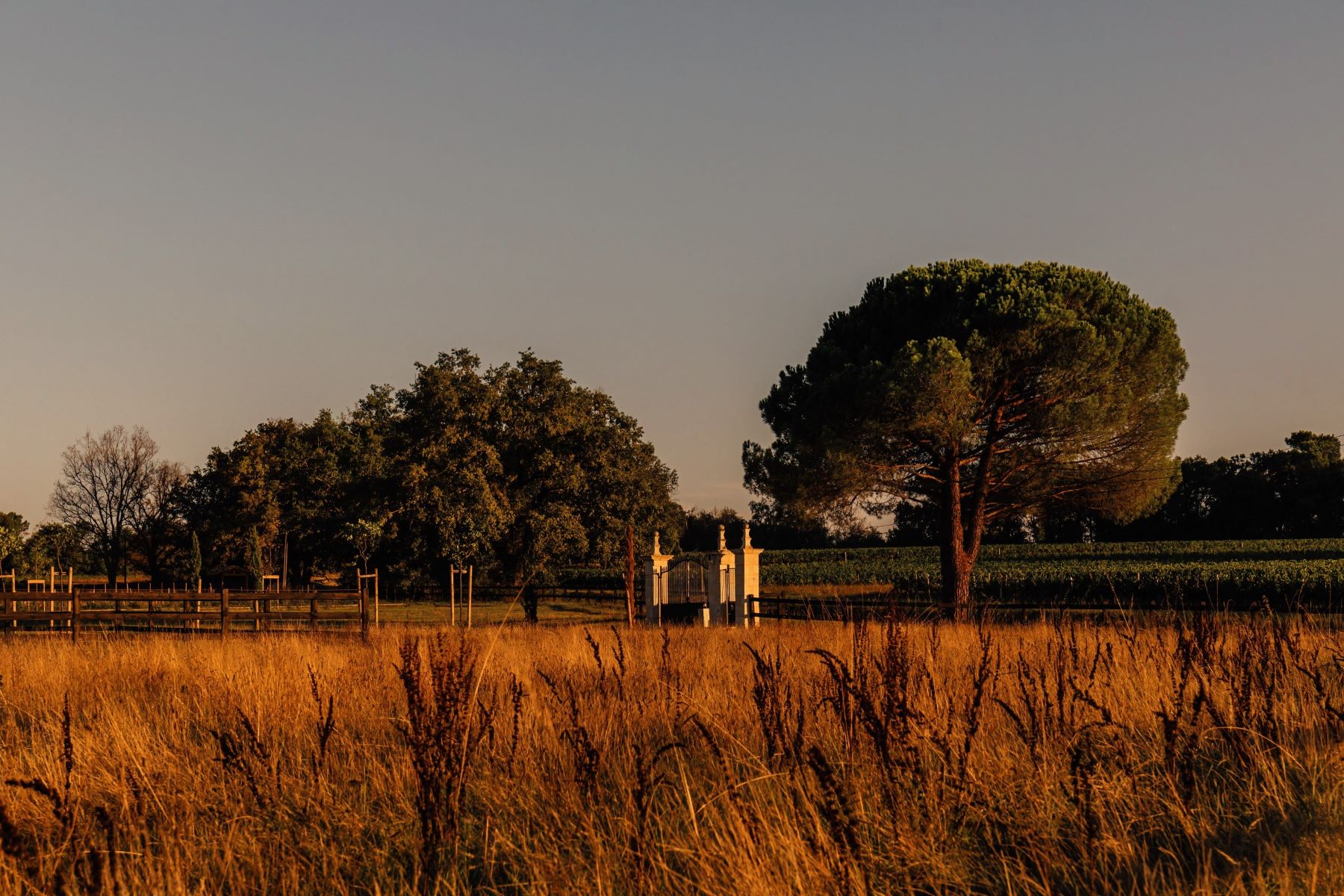Château de Saint-Julien 6