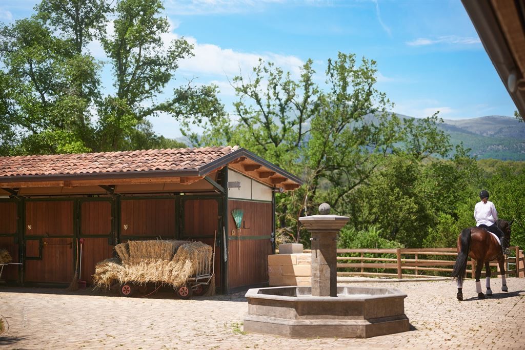 Sale Equestrian property Roquefort-les-Pins 14 Rooms 700 m² 2