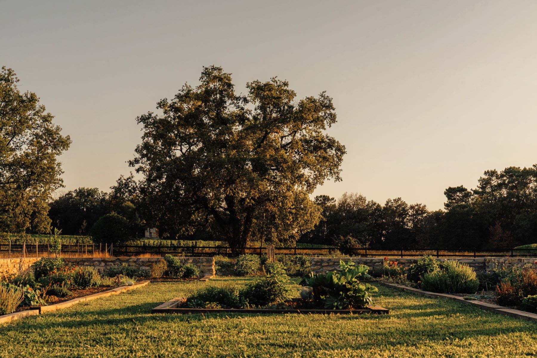 Château de Saint-Julien 10
