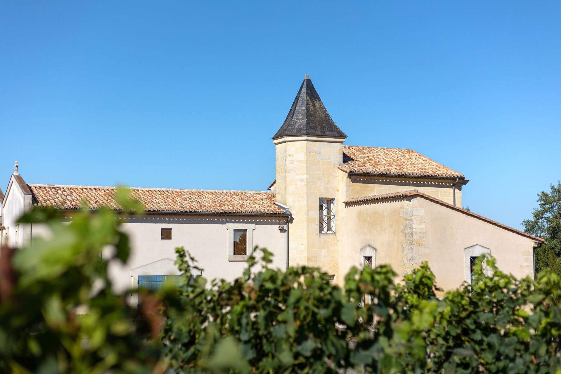 Sale Castle Bordeaux 10 Rooms 2000 m² 3