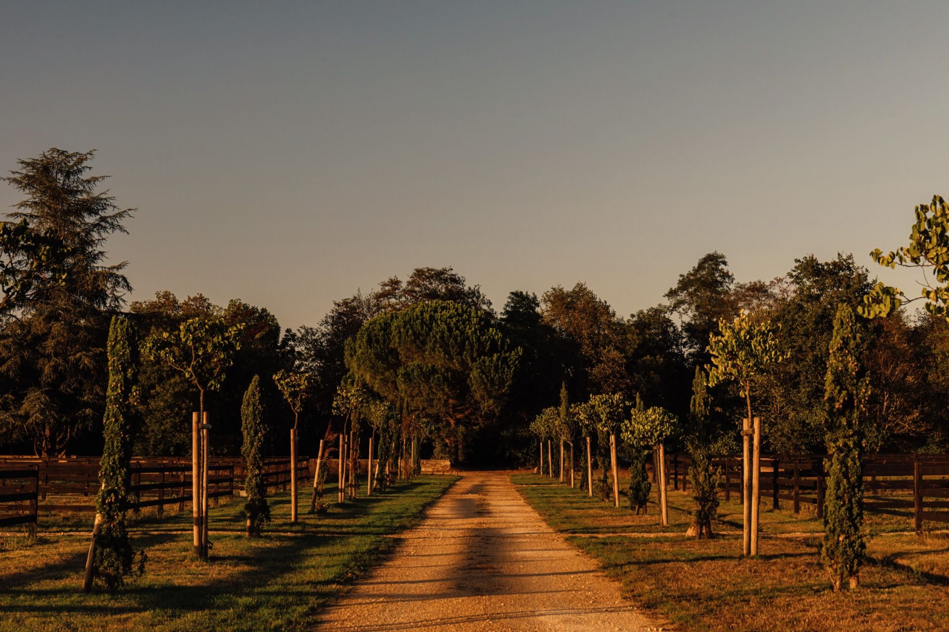 Château Saint-Émilion 16