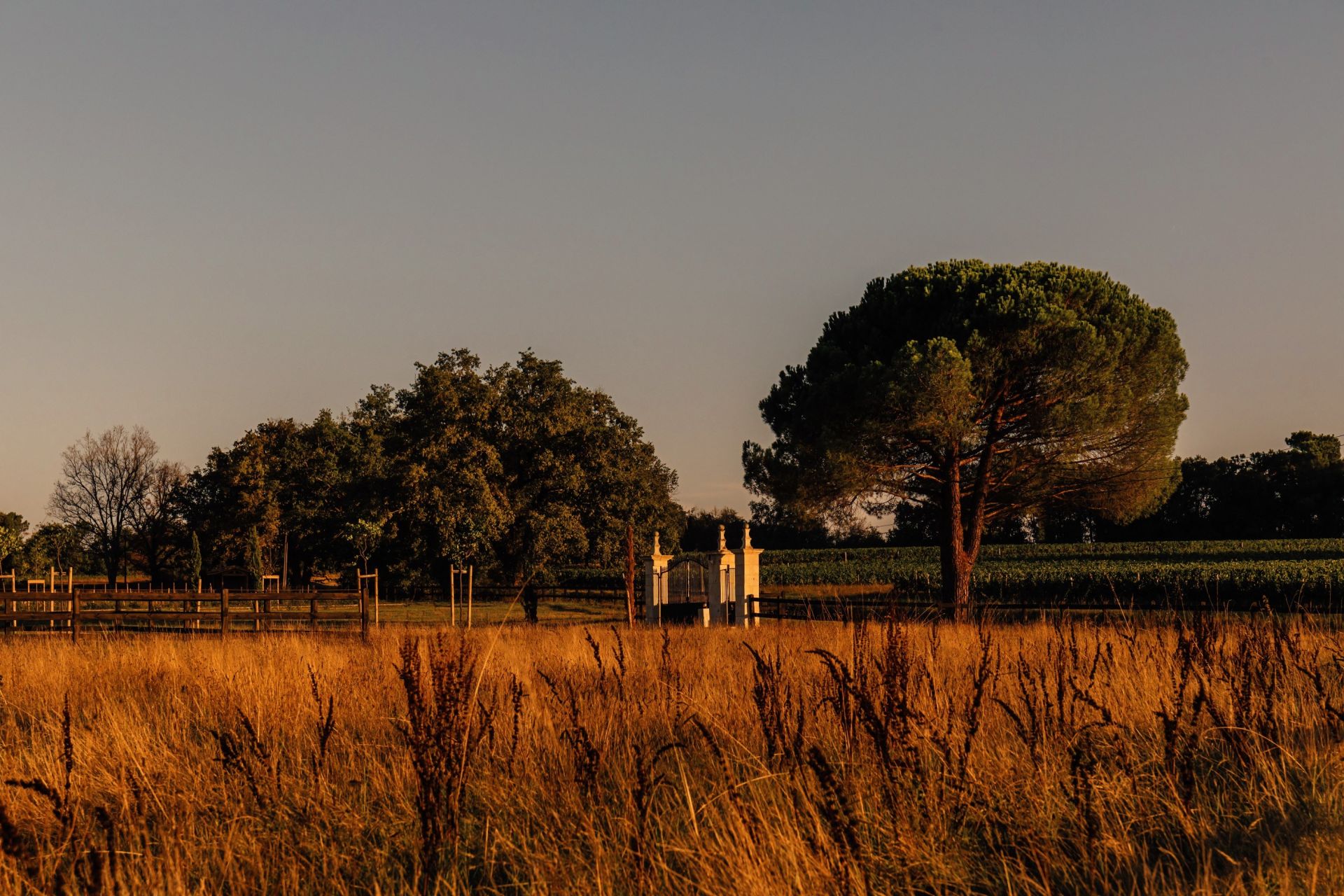 Château Saint-Émilion 13