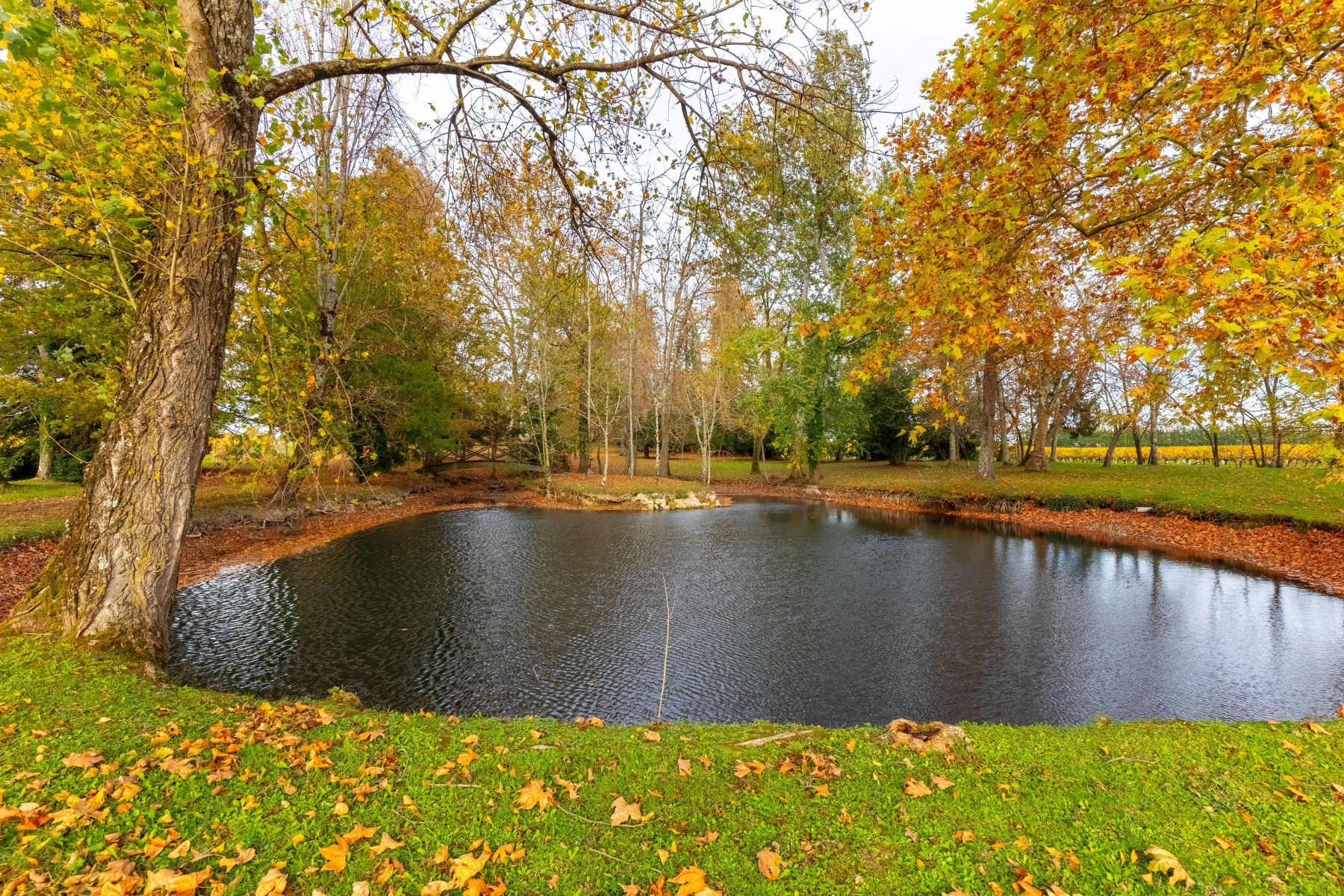 Château de Lussac 17