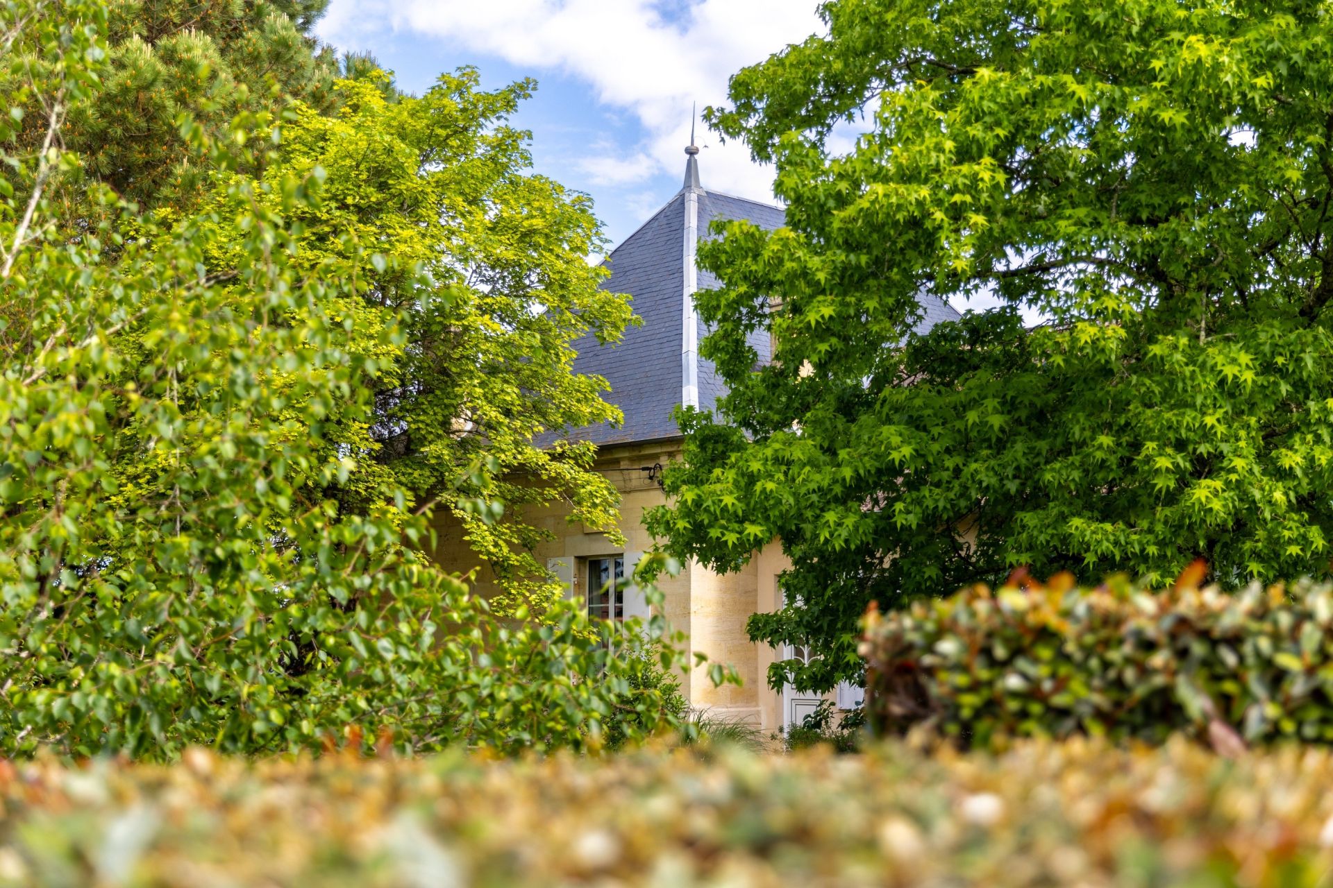Sale Wine estate Bordeaux 5 Rooms 230 m² 2