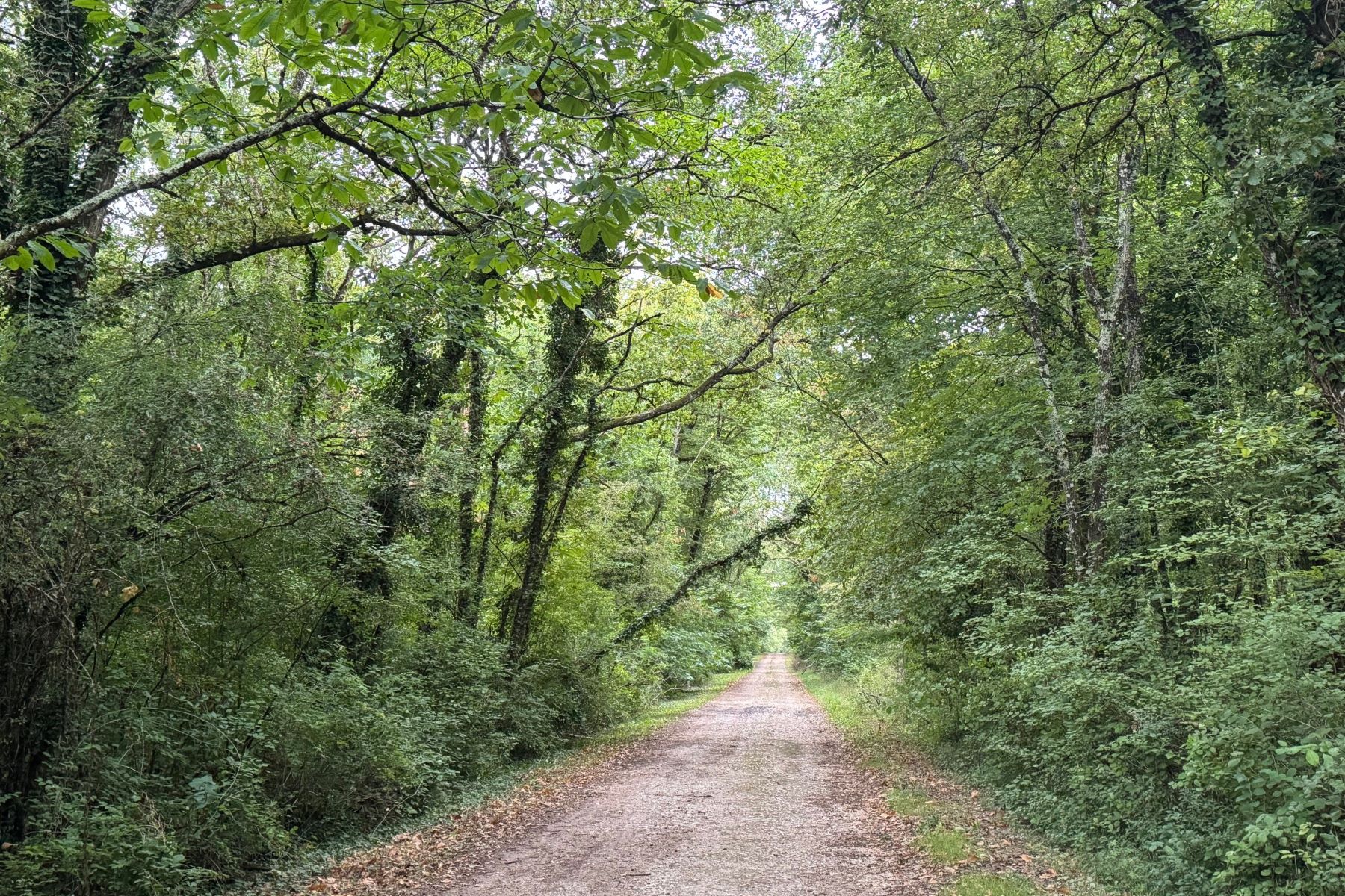 Domaine d'Amboise 13