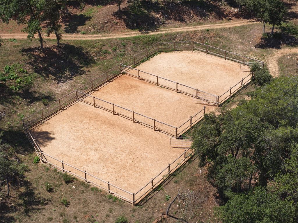 Sale Equestrian property Roquefort-les-Pins 14 Rooms 700 m² 5